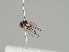  ( - KWi-1209)  @11 [ ] CreativeCommons - Attribution Non-Commercial (2018) Marko Mutanen University of Oulu