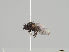  ( - KWi-1210)  @11 [ ] CreativeCommons - Attribution Non-Commercial (2018) Marko Mutanen University of Oulu