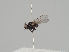  ( - KWi-1212)  @11 [ ] CreativeCommons - Attribution Non-Commercial (2018) Marko Mutanen University of Oulu