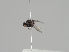  ( - KWi-1213)  @11 [ ] CreativeCommons - Attribution Non-Commercial (2018) Marko Mutanen University of Oulu