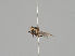  ( - KWi-1224)  @11 [ ] CreativeCommons - Attribution Non-Commercial (2018) Marko Mutanen University of Oulu