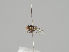  ( - KWi-1226)  @11 [ ] CreativeCommons - Attribution Non-Commercial (2018) Marko Mutanen University of Oulu