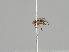  ( - KWi-1233)  @11 [ ] CreativeCommons - Attribution Non-Commercial (2018) Marko Mutanen University of Oulu