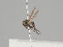  ( - KWi-1244)  @11 [ ] CreativeCommons - Attribution Non-Commercial (2018) Marko Mutanen University of Oulu