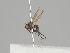  ( - KWi-1244)  @11 [ ] by-nc (2018) Marko Mutanen University of Oulu