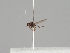  ( - KWi-1252)  @11 [ ] by-nc (2018) Marko Mutanen University of Oulu