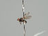  ( - KWi-1400)  @11 [ ] CreativeCommons - Attribution Non-Commercial (2018) Marko Mutanen University of Oulu