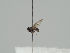  ( - KWi-1401)  @11 [ ] CreativeCommons - Attribution Non-Commercial (2018) Marko Mutanen University of Oulu