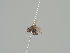  ( - KWi-1440)  @11 [ ] CreativeCommons - Attribution Non-Commercial (2018) Marko Mutanen University of Oulu