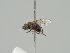  ( - KWi-1443)  @11 [ ] CreativeCommons - Attribution Non-Commercial (2018) Marko Mutanen University of Oulu