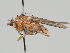  ( - KWi-1456)  @11 [ ] CreativeCommons - Attribution Non-Commercial (2018) Marko Mutanen University of Oulu