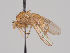  ( - KWi-1474)  @11 [ ] CreativeCommons - Attribution Non-Commercial (2018) Marko Mutanen University of Oulu