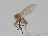  ( - KWi-1578)  @11 [ ] CreativeCommons - Attribution Non-Commercial (2018) Marko Mutanen University of Oulu
