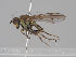  ( - KWi-1579)  @11 [ ] CreativeCommons - Attribution Non-Commercial (2018) Marko Mutanen University of Oulu