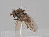  ( - KWi-1581)  @11 [ ] CreativeCommons - Attribution Non-Commercial (2018) Marko Mutanen University of Oulu