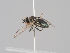  ( - KWi-1589)  @11 [ ] CreativeCommons - Attribution Non-Commercial (2018) Marko Mutanen University of Oulu