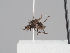  ( - KWi-1620)  @11 [ ] CreativeCommons - Attribution Non-Commercial (2018) Marko Mutanen University of Oulu