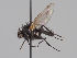  ( - KWi-1624)  @11 [ ] CreativeCommons - Attribution Non-Commercial (2018) Marko Mutanen University of Oulu