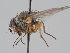  ( - KWi-1646)  @11 [ ] CreativeCommons - Attribution Non-Commercial (2018) Marko Mutanen University of Oulu