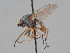  ( - KWi-1648)  @11 [ ] CreativeCommons - Attribution Non-Commercial (2018) Marko Mutanen University of Oulu