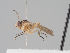  ( - KWi-1654)  @11 [ ] CreativeCommons - Attribution Non-Commercial (2018) Marko Mutanen University of Oulu