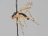  ( - KWi-1655)  @11 [ ] CreativeCommons - Attribution Non-Commercial (2018) Marko Mutanen University of Oulu