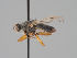  ( - KWi-1659)  @11 [ ] CreativeCommons - Attribution Non-Commercial (2018) Marko Mutanen University of Oulu