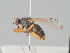  ( - KWi-1660)  @11 [ ] CreativeCommons - Attribution Non-Commercial (2018) Marko Mutanen University of Oulu