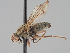  ( - KWi-1661)  @11 [ ] CreativeCommons - Attribution Non-Commercial (2018) Marko Mutanen University of Oulu