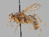  ( - KWi-1664)  @11 [ ] CreativeCommons - Attribution Non-Commercial (2018) Marko Mutanen University of Oulu