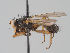  ( - KWi-1681)  @11 [ ] CreativeCommons - Attribution Non-Commercial (2018) Marko Mutanen University of Oulu