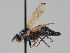  ( - KWi-1682)  @11 [ ] CreativeCommons - Attribution Non-Commercial (2018) Marko Mutanen University of Oulu