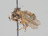  ( - KWi-1736)  @11 [ ] CreativeCommons - Attribution Non-Commercial (2018) Marko Mutanen University of Oulu