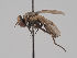 ( - KWi-1776)  @11 [ ] by-nc (2018) Marko Mutanen University of Oulu