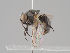  ( - KWi-1782)  @11 [ ] by-nc (2018) Marko Mutanen University of Oulu