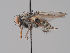  ( - KWi-1794)  @11 [ ] by-nc (2018) Marko Mutanen University of Oulu