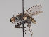  ( - KWi-1801)  @11 [ ] by-nc (2018) Marko Mutanen University of Oulu