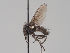  ( - KWi-1819)  @11 [ ] by-nc (2018) Marko Mutanen University of Oulu