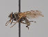  ( - KWi-1830)  @11 [ ] by-nc (2018) Marko Mutanen University of Oulu