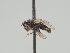 ( - KWi-1876b)  @11 [ ] by-nc (2018) Marko Mutanen University of Oulu