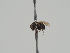  ( - KWi-403)  @11 [ ] CreativeCommons - Attribution Non-Commercial (2018) Marko Mutanen University of Oulu
