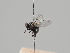  ( - KWi-412)  @11 [ ] CreativeCommons - Attribution Non-Commercial (2018) Marko Mutanen University of Oulu