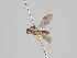  ( - KWi-416)  @11 [ ] CreativeCommons - Attribution Non-Commercial (2018) Marko Mutanen University of Oulu