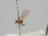  ( - KWi-431)  @11 [ ] CreativeCommons - Attribution Non-Commercial (2018) Marko Mutanen University of Oulu