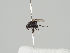  ( - KWi-434)  @11 [ ] CreativeCommons - Attribution Non-Commercial (2018) Marko Mutanen University of Oulu