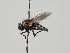  ( - KWi-460)  @11 [ ] CreativeCommons - Attribution Non-Commercial (2018) Marko Mutanen University of Oulu