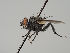  ( - KWi-489)  @11 [ ] CreativeCommons - Attribution Non-Commercial (2018) Marko Mutanen University of Oulu