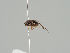  ( - KWi-514)  @11 [ ] CreativeCommons - Attribution Non-Commercial (2018) Marko Mutanen University of Oulu