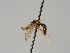  ( - KWi-515)  @11 [ ] CreativeCommons - Attribution Non-Commercial (2018) Marko Mutanen University of Oulu