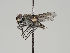  ( - KWi-529)  @14 [ ] CreativeCommons - Attribution Non-Commercial (2018) Marko Mutanen University of Oulu